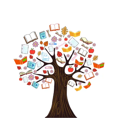 Catégorie par défaut