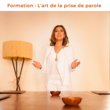 Fomation de la prise de parole via zoom  :L'Art de Rayonner en Séminaire et Réunion grâce à l'Étiquette