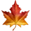 🍁