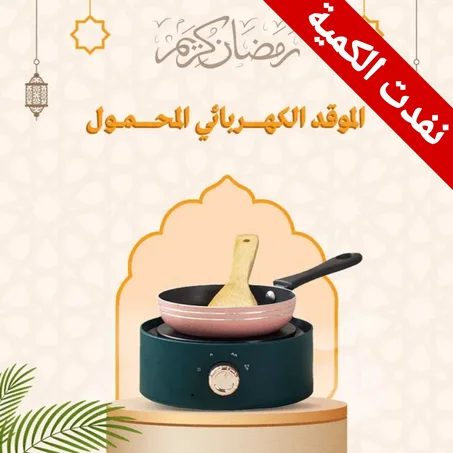 Electric Magnetic Cooker