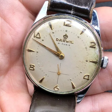 ساعة دارويل أصلية