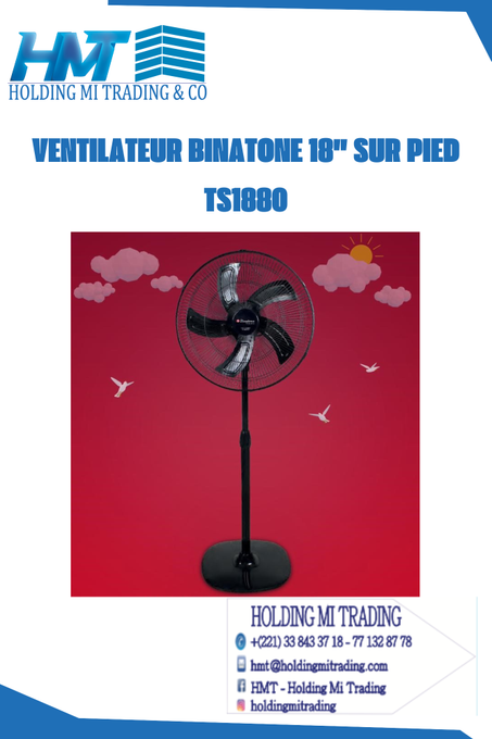 VENTILATEUR BINATONE 18" SUR PIED TS1880