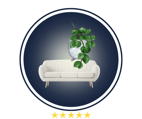 المنزل و الحديقة