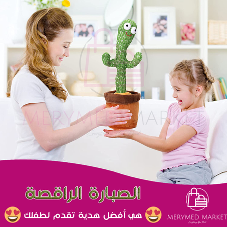 الصبارة الراقصة الأكتر شهرة