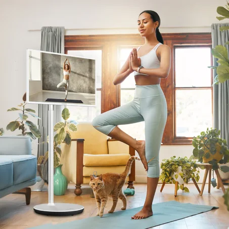 Thomson Go TV 32" meilleur prix