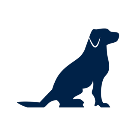 Pets / حيوانات أليفة