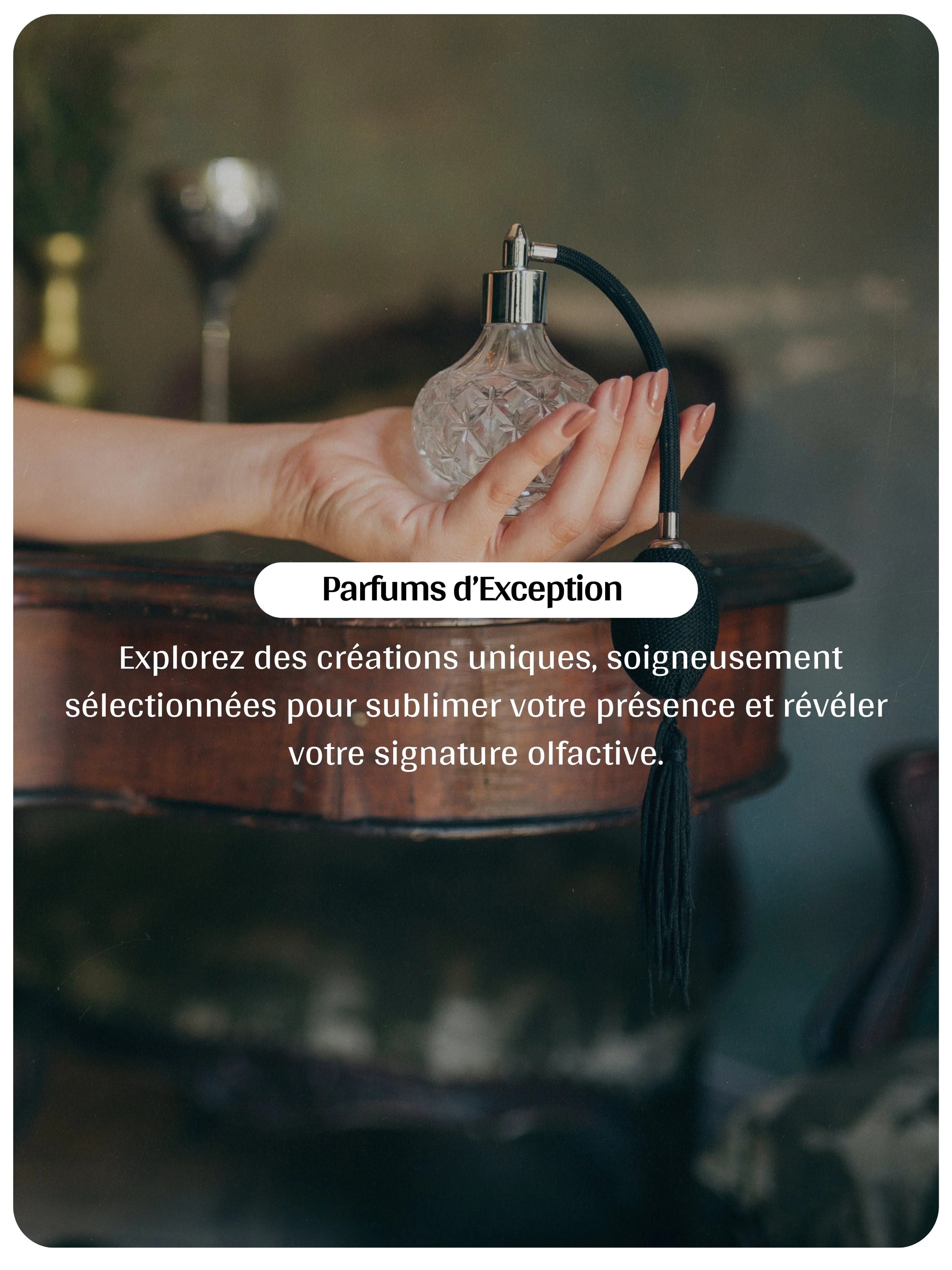 slider-image