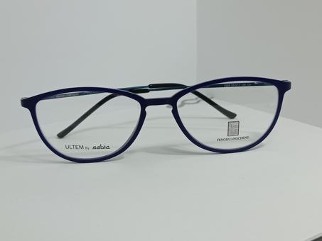 Monture pour lunette