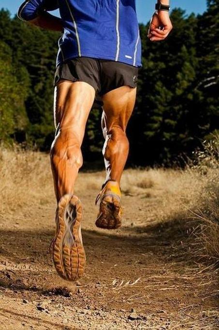 الرياضة والترفيه