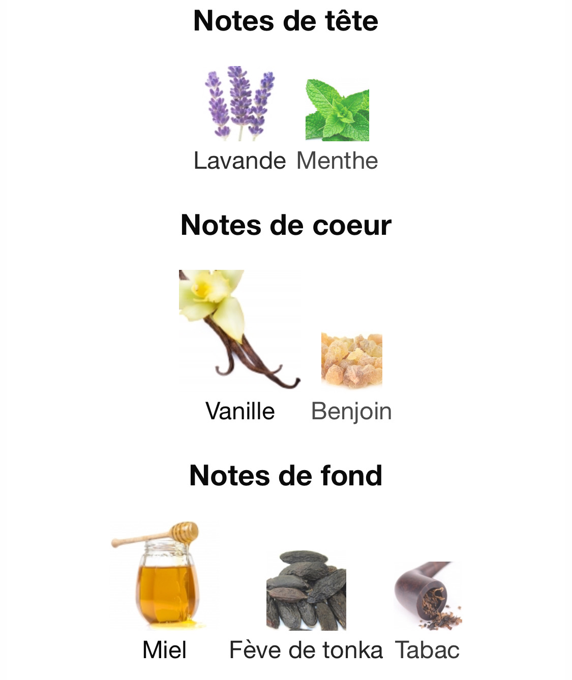 Le Male Elixir