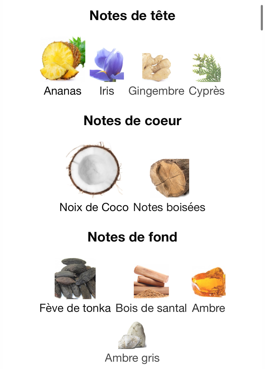 Le Beau Le Parfum