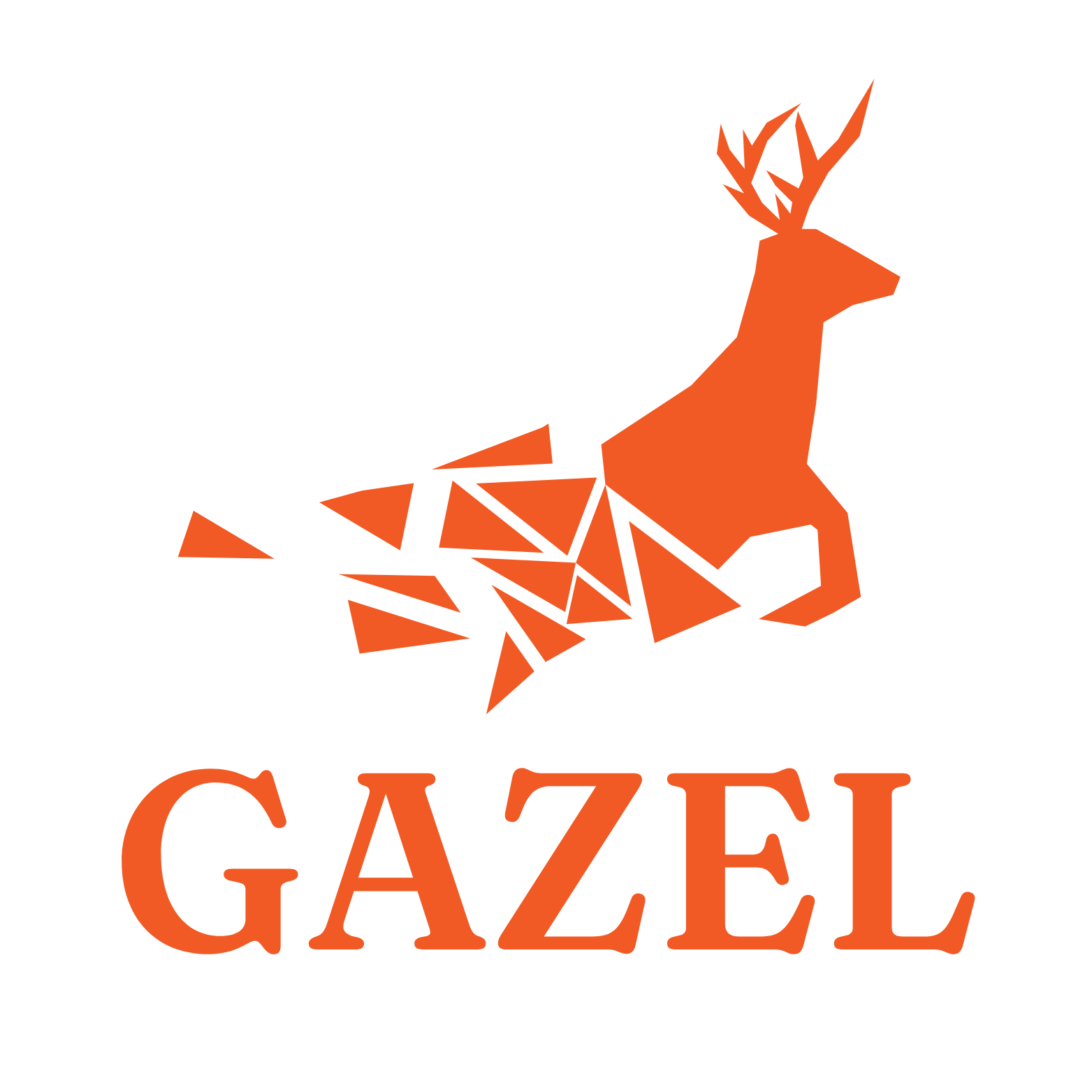gazel