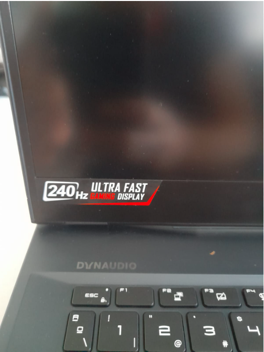 MSI GE66 Raider 10UG – RTX 3070