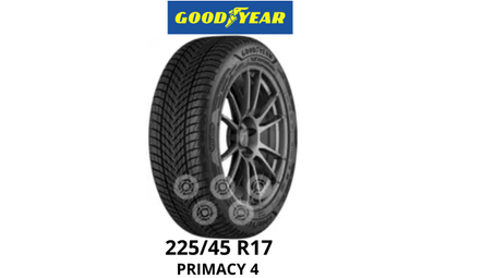 225/45 R17