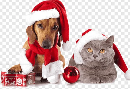 حيوانات أليفة