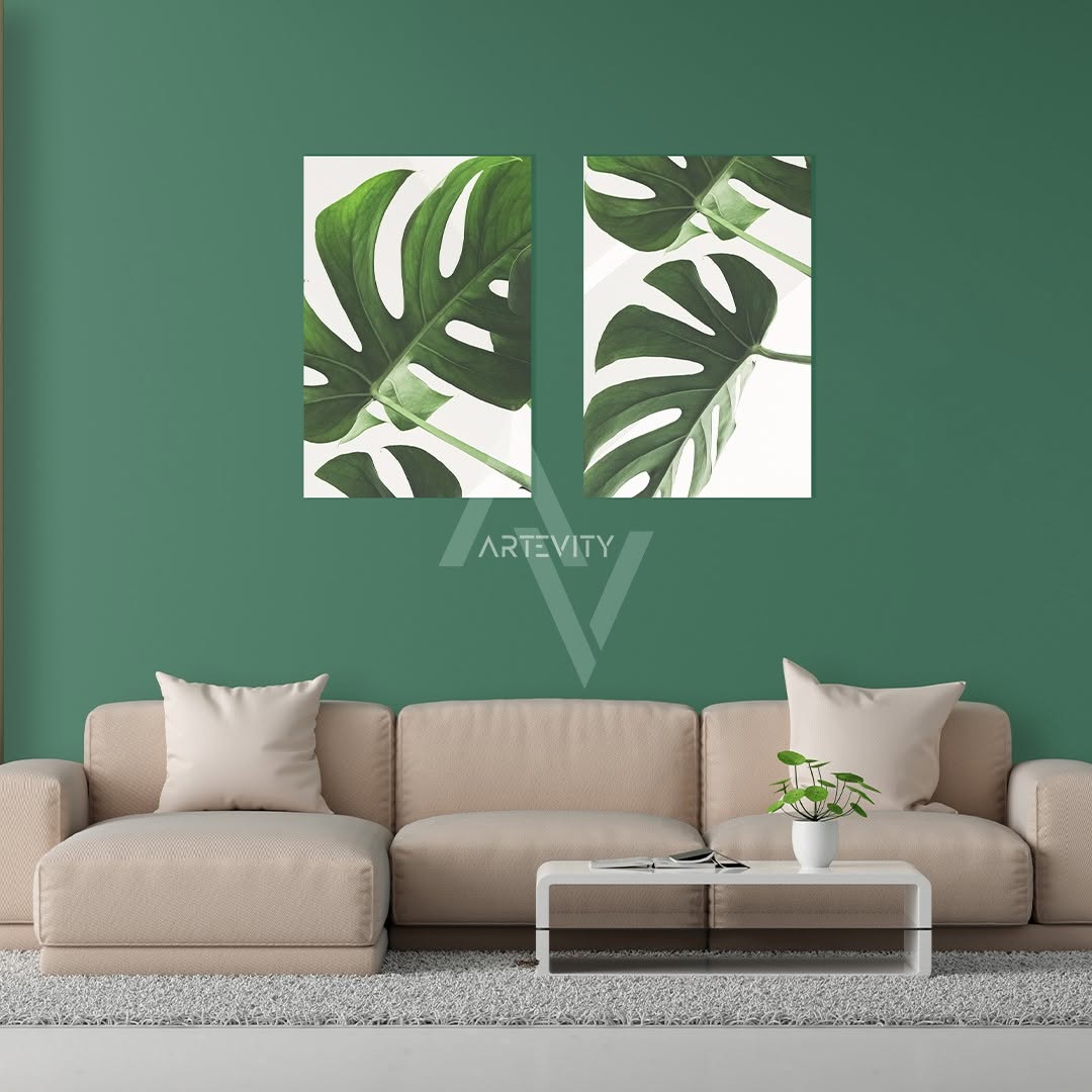 PLANTS - لوحتين بثمن جد مناسب