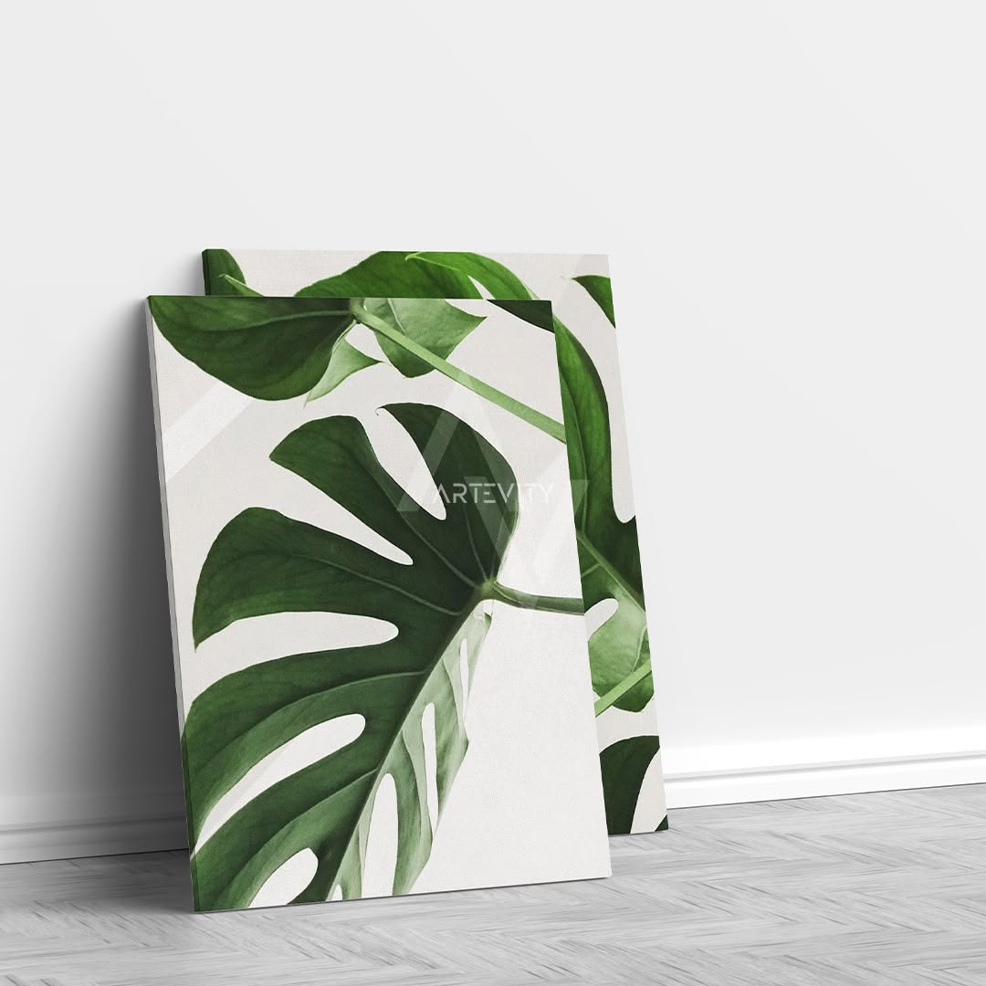 PLANTS - لوحتين بثمن جد مناسب