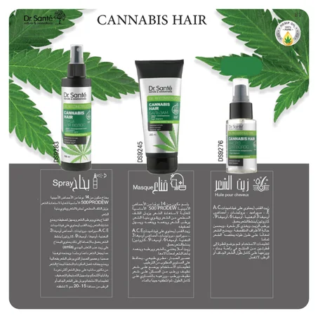 Cannabis Hair زيت الشعر + قناع + بخاخ