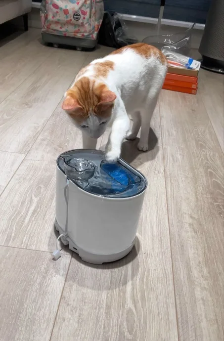 pet water