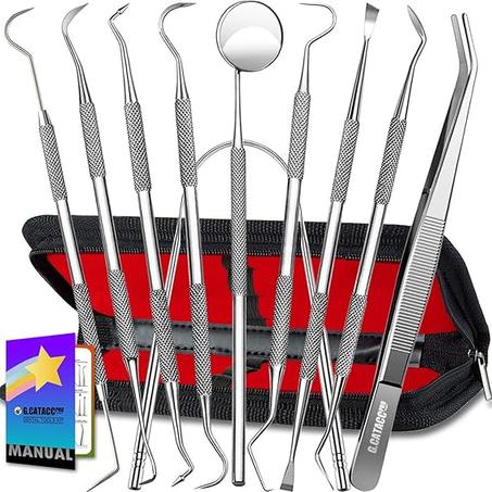 G.CATACC Paquete de 10 herramientas dentales, removedor profesional de placa para limpieza de dientes, kit de higiene de acero inoxidable con púa dental, raspador de dientes, removedor de pla