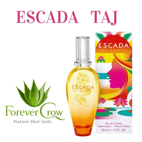 ESCADA TAJ
