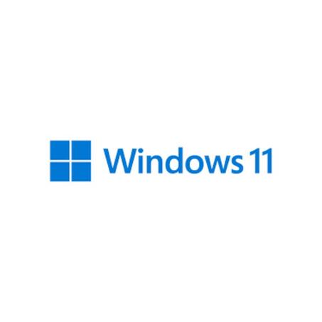 windows 10 / 11 keys