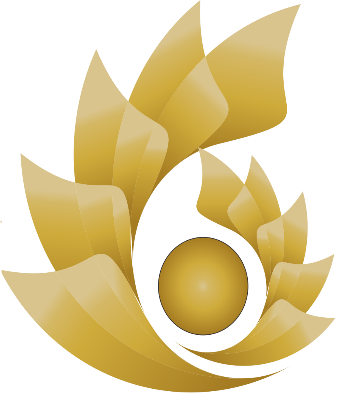 sfssolution