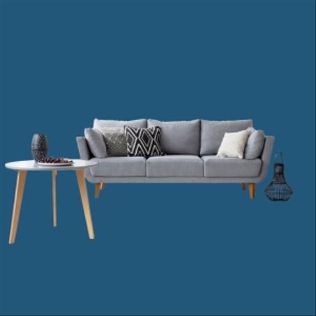 المنزل والحديقة والأثاث