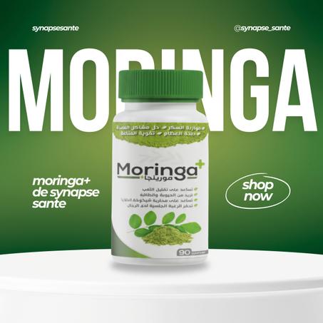 Moringa+ – Énergie & Immunité Naturelle