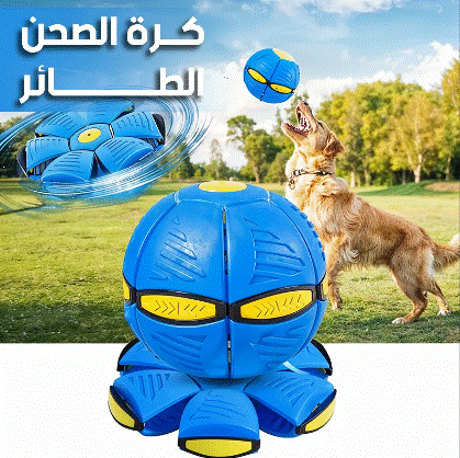 🌀 كرة الصحن الطائر – تتحول من كرة إلى صحن في لحظة!