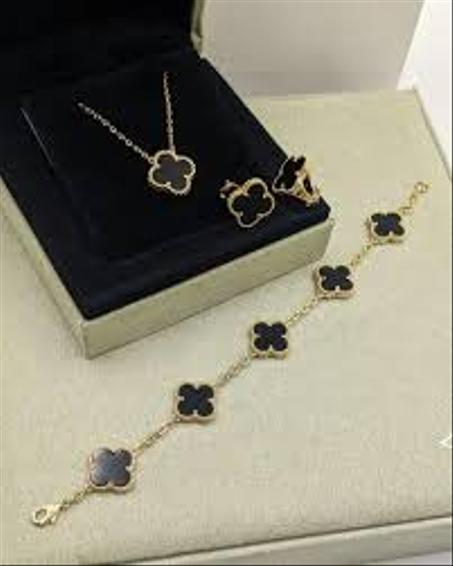 N°1 Ensemble Élégance Van Cleef