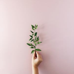 Autres produits de beauté