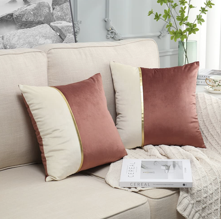 Lot de 2 Coussin Giex Velours 40 x 40 cm Décoratif Maison Salon Canapé Chambre Voiture (Poudre de Peau)