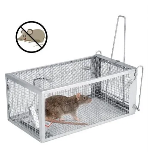 Piège à souris parfait