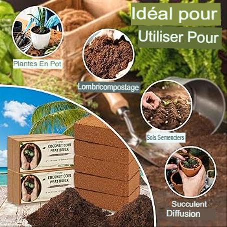 GRANULÉS DE TERRE DE FIBRE DE COCO BIOLOGIQUE