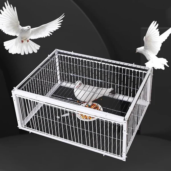 Piège à pigeons CONGO