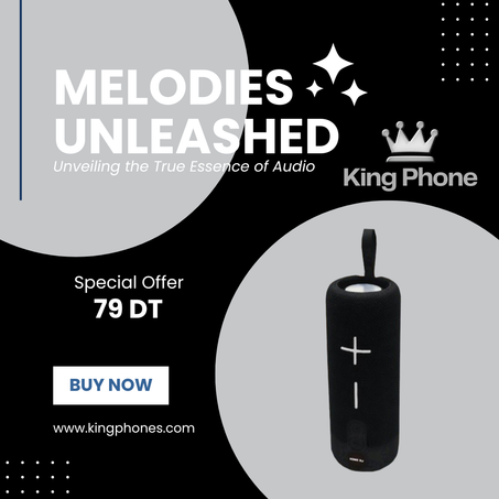 Speaker bluetooth portable home dj tg-312-gris - speaker Bluetooth portable home dj tg 312 gris SPEAKER BLUETOOTH PORTABLE HOME DJ TG-312-Gris