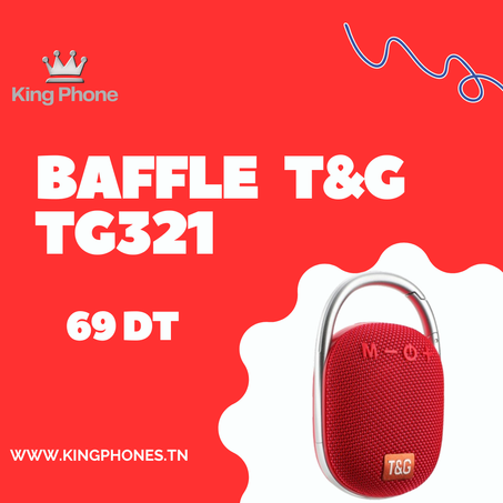 HAUT-PARLEUR BLUETOOTH PORTABLE T&G TG321