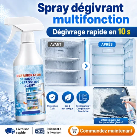 Spray dégivrant Éliminez la glace de votre réfrigérateur en quelques secondes