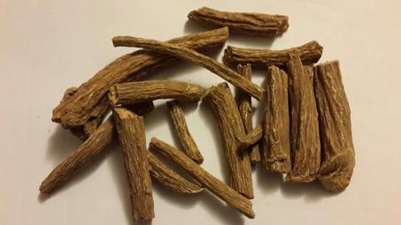 القسط الهندي البري