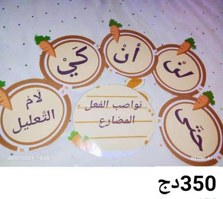 حقيبة السنة الخامسة