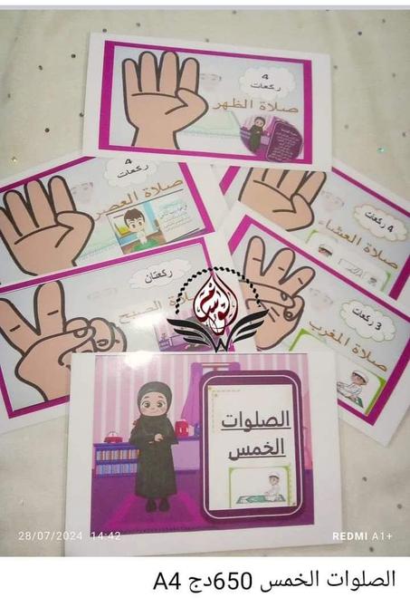 حقيبة السنة اولى