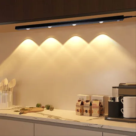 Rechargeable Magnetic LED Motion Sensor ( 50cm with 4 light )