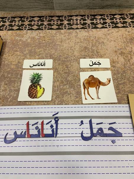 علبة الحروف المتحركة و البطاقات المصورة