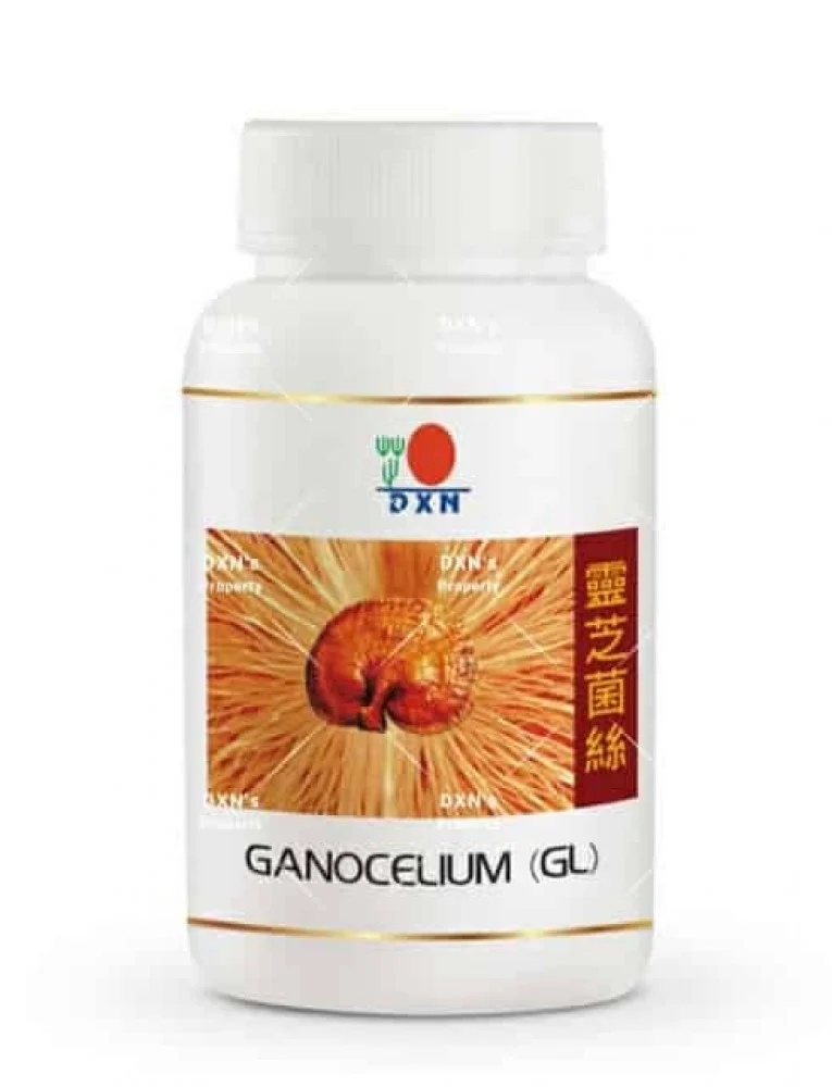 stores/178c45fd10fd358a8598e275db474eaa/products/SJEaYMsG98hSxsKYJtdguQyhaMfJw4TbSGIIBQHK.webp