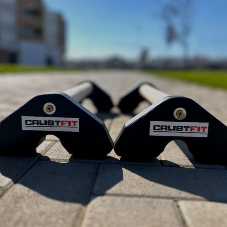 Barres parallèles de calisthenics