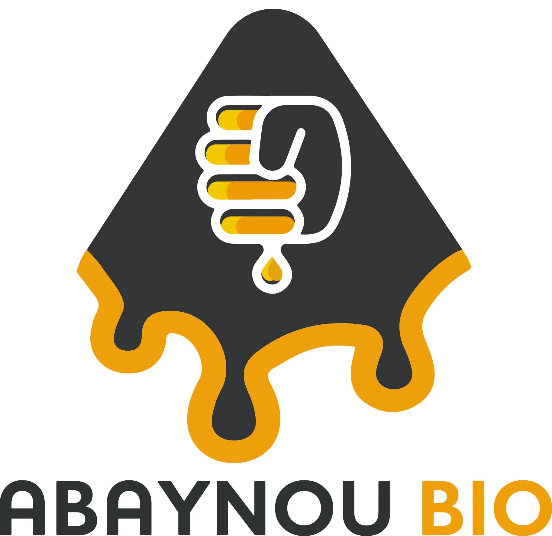 abaynou bio