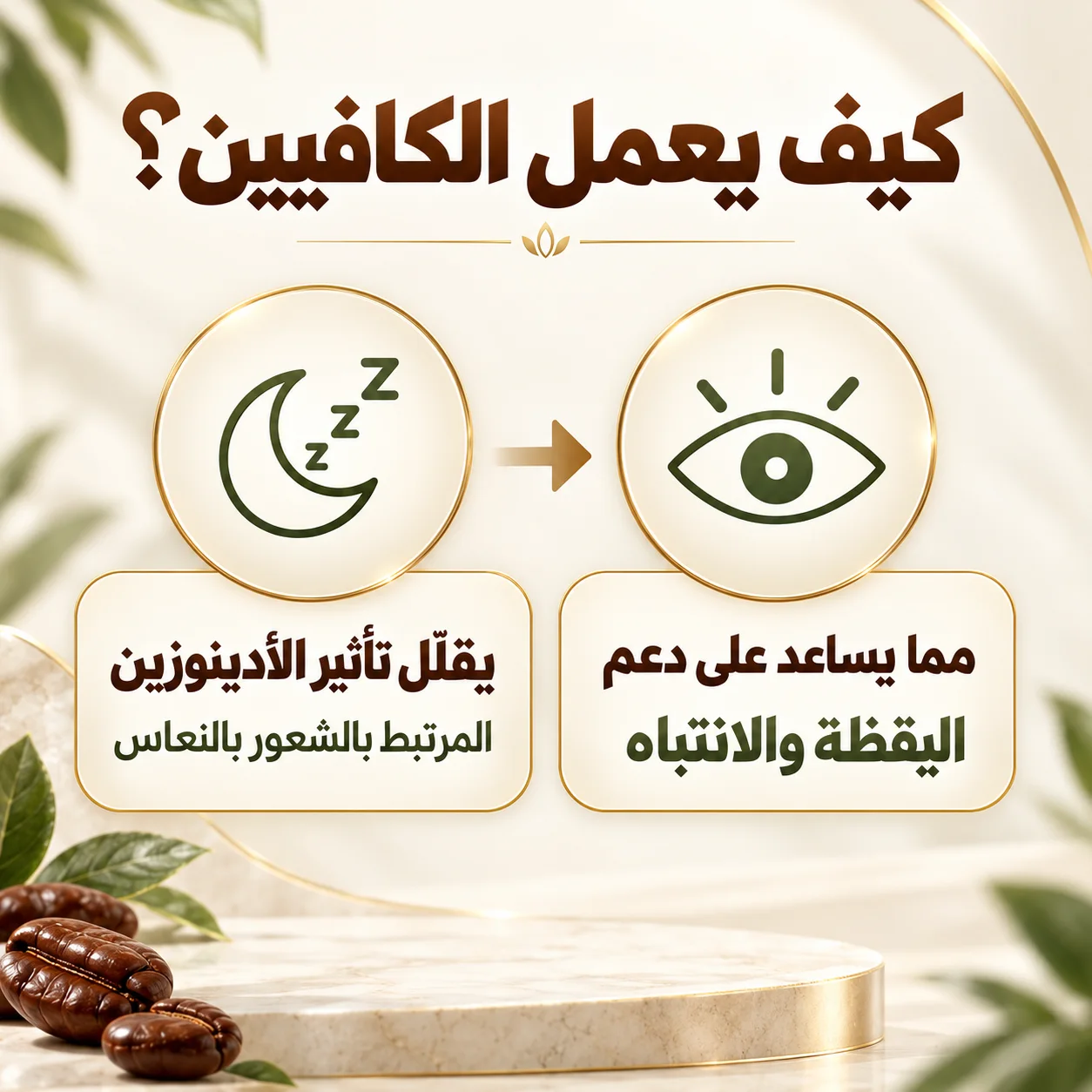 كافيين للطاقة والتركيز – Chamaa Cosmetics
