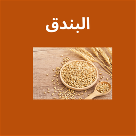 البندق