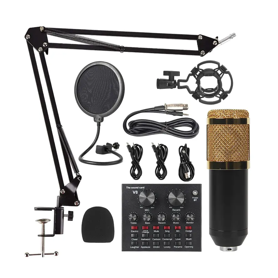 MICROPHON BM 800 + V8
